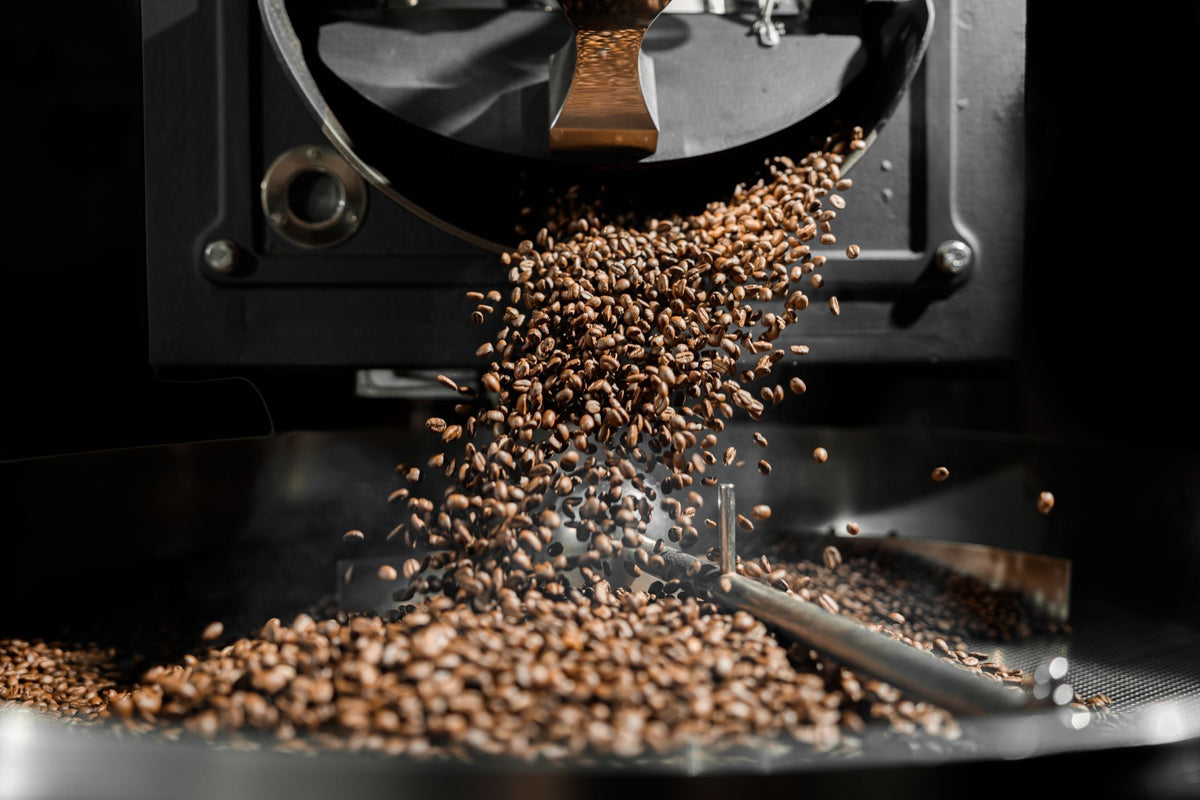 Roasted coffee beans caught in a still image as they tumble out of the mouth of a drum style roasting machine.