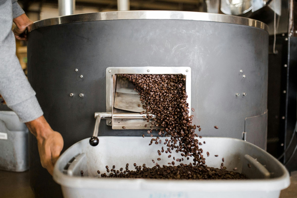 Roasted coffee beans tumbling out of the cooling tray and into a waiting tub.